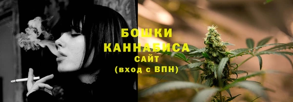apvp Аркадак