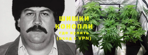PSILOCYBIN Армянск